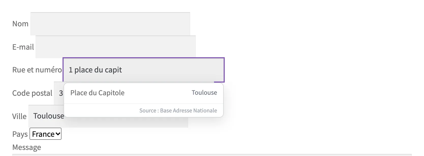 Le popup de l'autocomplétion dans le formulaire Contact Form 7