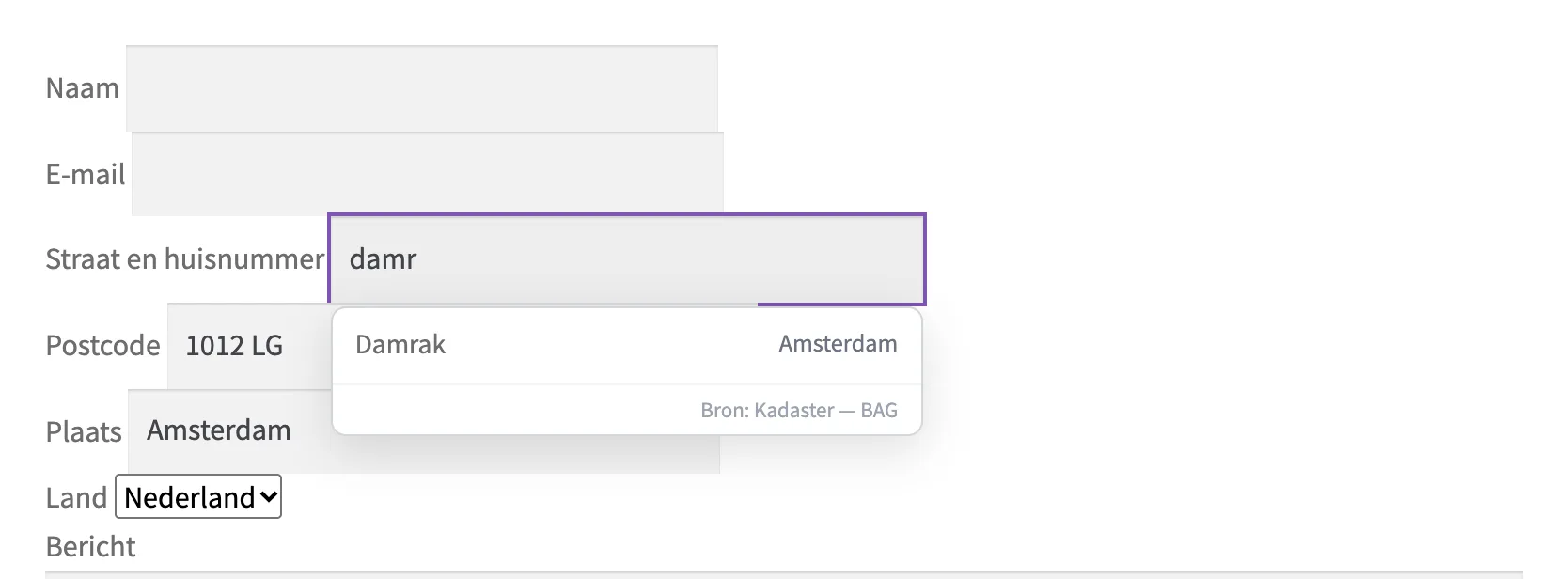 De autocomplete-pop-up in het Contact Form 7-formulier